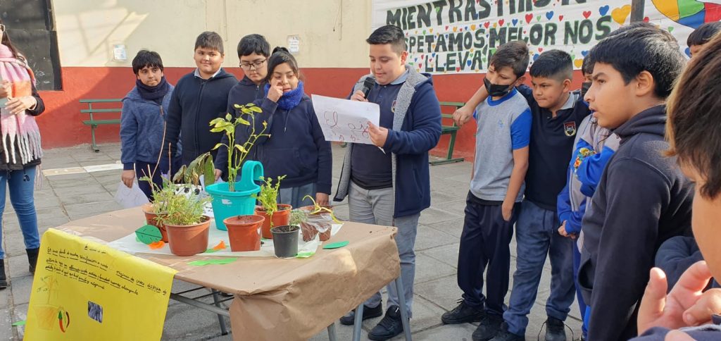 Nuestro alumnos de kínder a 8° año expusieron sus plantas por el mes del medio ambiente 